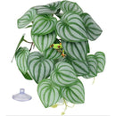 fffffe1ff00fe087e003f803e80fec07e001e001e003f01ffc0ffc0fec4fffff0000000000466d57005c4e5600004b00