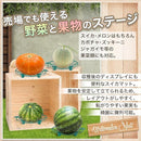 0000000d677d15a537fb1fe736ff01fd27ff7d7f79ff797f616f709f7e12001d12151317162929121712361817411320