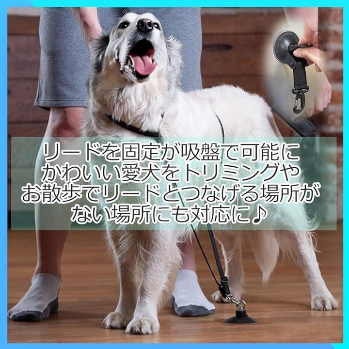 ffffabc685c0a9c1a3e583f880f8a7f0a6fcd9fe83fe8082818081c0c10180008d84848492abab09924a8080920c080e