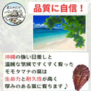 ffffbe4beccbc400fc00fc00fc03fcf8fffdffff94ff946ffffcfff8eb38a01d395550453031423c1c3d1f192b000000