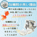 ffffa000f3a4c000f4b2ce6be7ff9fff9ffffff9fff1ff75ffe8fffdfaeffcef8e8b8e8a8f4a80468b8e8b8c898b8b9c