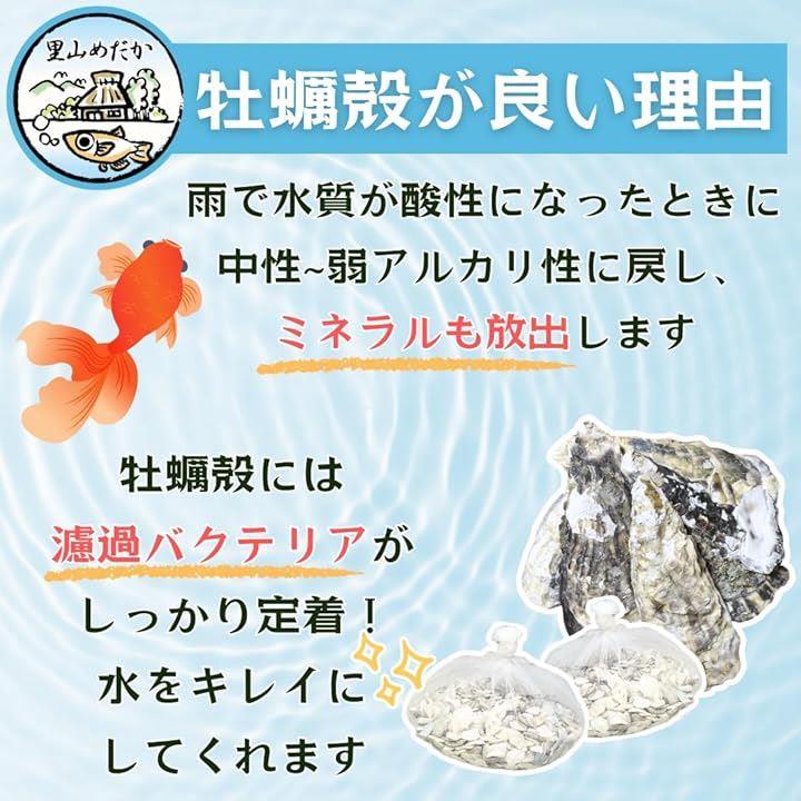 ffffa000f3a4c000f4b2ce6be7ff9fff9ffffff9fff1ff75ffe8fffdfaeffcef8e8b8e8a8f4a80468b8e8b8c898b8b9c