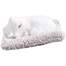 fffffffffffffffffffffdffe639c20fc001d000c000c00f80ffffffffffffff000000000000000000f5bcab00d50000