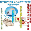 ffff93e0ff7dfffcf07fe37ce6aeb2ecb86cbc60a26a8041a4e5a7ffffffffff0000000000908e00009b9c0000170012