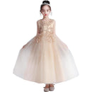 ffffff7fff7fff3fff3ffe3ffe3ffc1ff80ff00ff007f00fe00ff00ffc0fff3f0000000000000b00000012000009121c