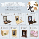 fffffff7f7f4effbecfafffffdfedff1def1c6b0f7f6dfffffffa9db99dafd889494949494978f2b9293939f92949494