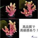 000008180c080c0a1c2c0c380810000000ff08ff0cff2eff2eff3cff18ff00ff