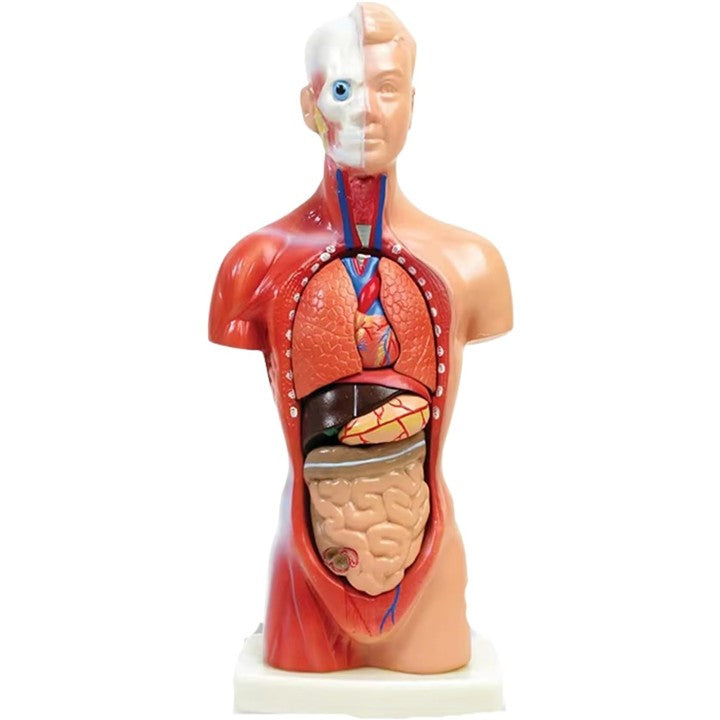 ffffff7ffe3ffe3fff7ffe7ffc1ff80ffc1ffe3ffe3ffe3ffe1ffc1ffc1fffff0000000000000c000000020000001200