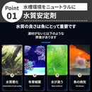 000079fb70007740000000000400000074706376517716774775757520041202000000009c9c9c9ca4aba4999eab97a2