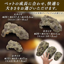 00000408310007ff007f020d303f3c066e104504007c28ff35db01ff0059007d1e1e1e1e0b0f121a0d1c0b0b061c1619