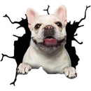 fffffffffffefdcff7fdf2c3f907e207e007e407a607e713f547e7a7efffffff