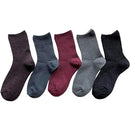 ffffffffffffffedc809c809c901c100c000c000c0418003800392d3ffffffff000000000000f50000e5f397009bf3ab