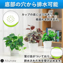 ff0035220000ffc0ffeaffc4ffc0ff40ff80ee008200c3dce3ecefffeffbfffc92939495ab0000172b2b32972b4b3c47