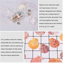 ffff80bfd62fe02d803fc13fb812917ffffffefff7b9b338ff25ffe7b7ffff88