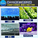 000059000270ff18efa4ffaeffd3b401807fe1ffef8aefb0f90cf684807fffcb000000009e9c9a369fab97459b868b28