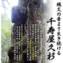 f83ffc1efa4ff01fe00fe01ff01fe89be027c22bc013300e408ec03f008708bb9e001ca458b0bdab66b21c6b3c1c2a30