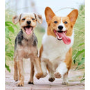 ffffffffff3d4cb92b91328bef80a1e041fc1cf880f85c30df98ceffcf97c820979a909240169cfc41121e1e150e15a2