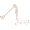 fffffe7ffc7ffc3ff83ff33fe73fc73f0f3f1f3f3f3fff00ff80ff00ff3dffff