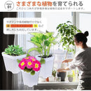 ffffc47fffff0eff6ff77fc37f340c240f784a767a3c74f470f81dee0fc6060e00000000229c0041099445331ce6a412