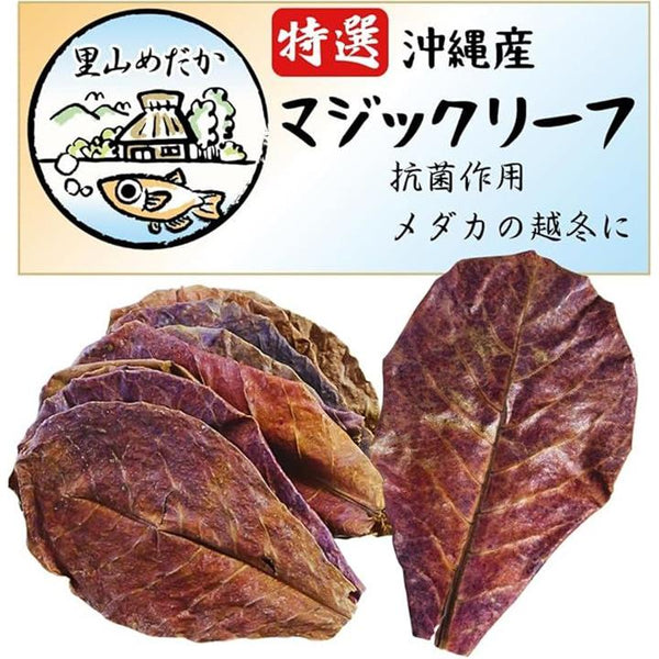 ffffdf37de3ff7cb81fff3ffe7fffbe1e0c1c040c0108005804180cbc04ff04f0000000000c9958f00fe20f500f0fc09