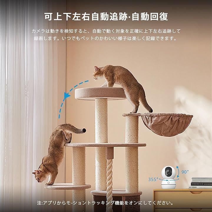 00000480a000f3fcfbfffb3ffb9ffa1ffb6fff41f173f00ff5dff55ff75e8100000f0f1200121414d5141315200f1214