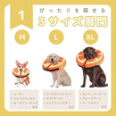 000047ff57ff47a37fff66736f737ff37e616c23673167397f7d7fff7fff7fff212121212100000021000f0921001300