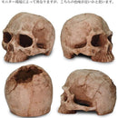 ffffefddffffe1d3c08188a080819080c180ffffe1c3c0c1c080c080c080c100000000000012000f000e00100012000e