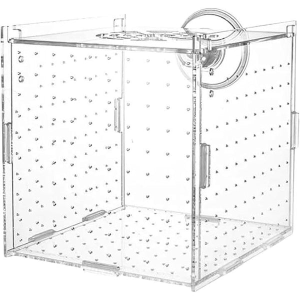 ffffffffffd7ce00f9cefbd7ffdfffdebfdebfdfffdfffdff9d99ed1f1d7ffdf00000000000000000000000000000000