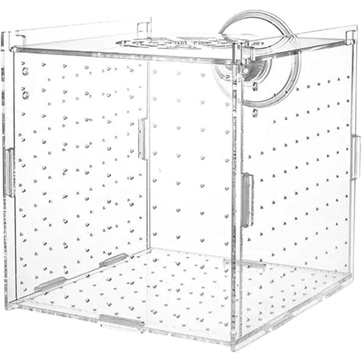 ffffffffffd7ce00f9cefbd7ffdfffdebfdebfdfffdfffdff9d99ed1f1d7ffdf00000000000000000000000000000000