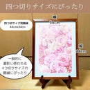 000024040000c020043c7dfc01fc01fc01fc01ff79fcfdfcedf4bdfccc00fe0011111111150097901b1ce3eb0000e106