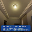 fffffffffffffff37ff697e48189c013682300000000001000000000051011d2171a1c18161a211a1a1c1c18151e1915