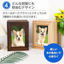 ffff93ffbffffffff47cc1fec08480e4c06ec07ecc3e46784080f3f5d7f0f7f0000000000000001c1e18081c1710049a