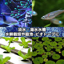 18000380038011860d06bf02ba00cafac20fc208ff00ff00ff008e40fa007d909fa45544a89b8809a195a0a69e00383a