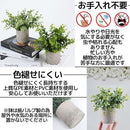 ffffffdadfd687eeeeef802180f5f1fbffd0c5ffd27fcdfe0010fef1b6fbb33ba292a200929249009eb0a20000005545