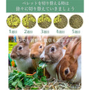 000000000000f63ff865ffefffffb39ab3ef8c798183a001c0118001c000909969696969312b262100090bf500411f10