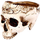 fffffffff801df50d2c2f1afffffdd9fc087c0c7c4d7e7f7efffecffe9ffffff