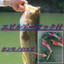 fe00fd000fe001a003000700ff1fba38fc3bfc26fc14fe13d808ff22ff1bff019806759049491c5a4443329b3f4e15fd