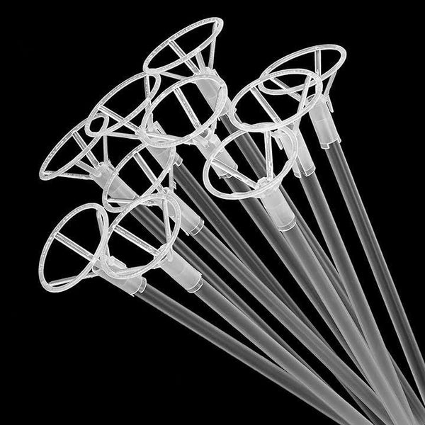 00000000008c07a801a80af81ab40b6c0db82ed20b5e26ac0157006e0037000b00000000000000000000000000000000