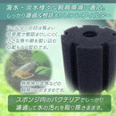 000036790f5c1ff977c07f807f90e780d980c980b28081c0dbc0fff3ce8ac2de