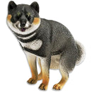 ffffffffedffe0ffe0ffe11fea0ff40ffc07f803fc07fd07fd6ffc7ffe1fffff00000000002b00000000173200001b00