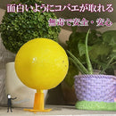 0400244980008080400380488f889f889fc07fc0ffd6ff9fff1f7e1fbe0f3f5f1c331c222437362224262938171f23b6