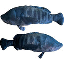 fffffffffffff01fe0078000c000f0fffdfffe1ff00780019001ff83ffdfffff000000000096969500000000009797a3