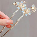 000003f001f002d300be812dc21c34201840fc80e000000000000808100000000704fc040f12241505051000070e0909