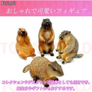 000000000908ffffff3ff63ff627e223e20be023f6c1fc0ff81ffc0fdc0cf77ff5f1ede8000017000018161900001700