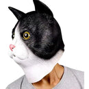 feffff3fe61ff01ff00ff80ff80ff807fc07ee07ff0fffbfffe7ffc3fb87f20f0000000000abc7000000abde0000de12