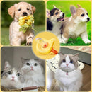 ffff9882bc8398e7b48db0afb9e3b7b1ff3f838181f4829a8fea93bedffc9e8c1d201d1e1e211c191d1c031f1d6b1ceb