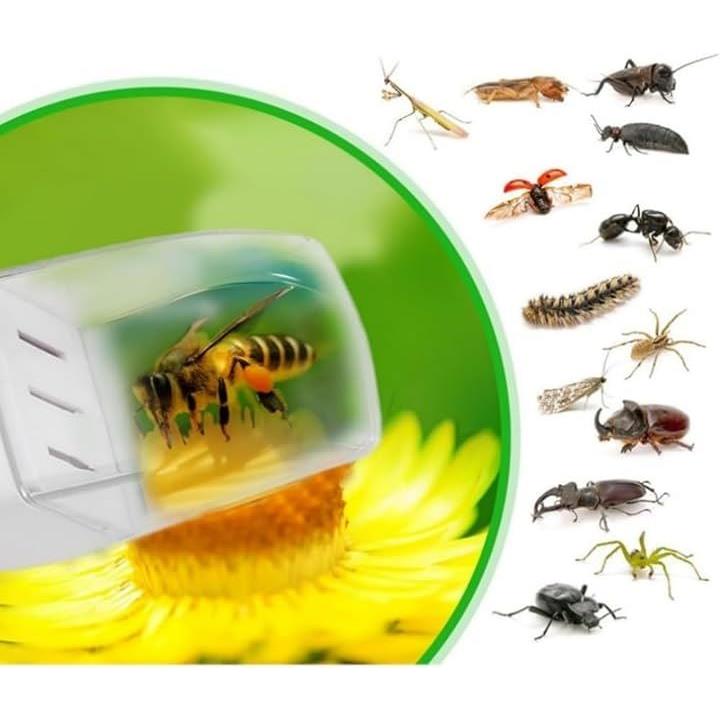 ffffffffe7e500fc0077003f581fc013e00fe00de08db049e04f205b001bffff00000000383839080027410000152700