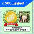 80009cd19ef3800ffffff1ffe0a3c383c63fcc03d83be07fe77ffc3ff1e7ffff009a9a9a005555550023211700350055