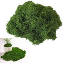 fffffe7ff803f001f001e000c000c001c001f0019e0ddf9fdfffe1ff81ff83ff00000000003f423c003f403ff2d00000