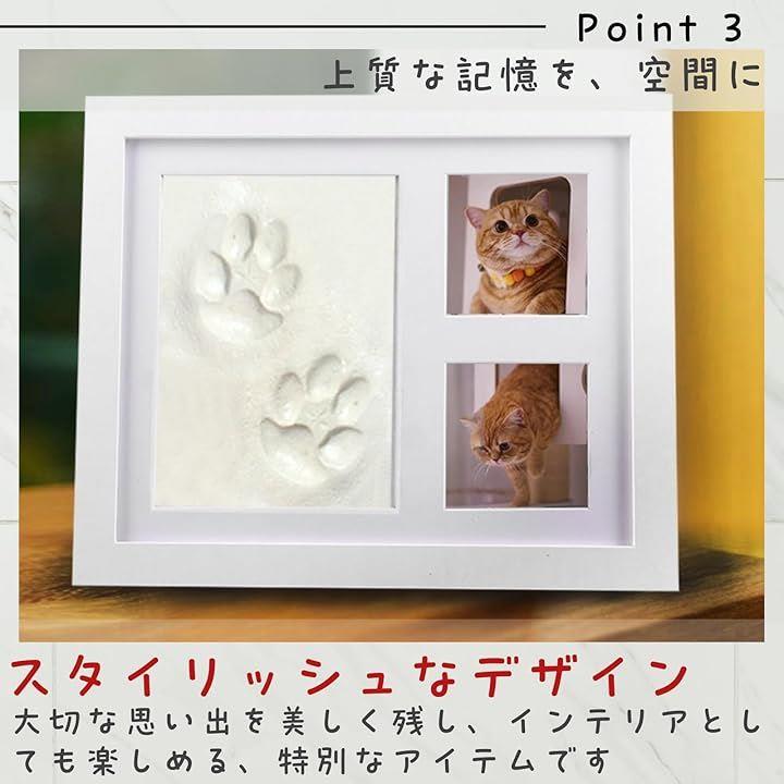 ffffffffbffdbffcbfccbfccbfccbffcbeecbfc4bf44bffc807c8000cfdfefff474747476b3030e42b1f9cf5330909eb